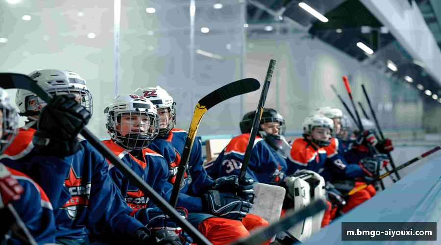 AYX·爱游戏「中国」官方网站_AYXSPORTS